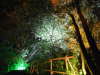 dsc_0211