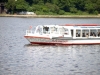 w6223981
