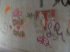 16245644
