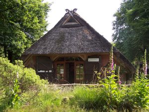 Foto: Archäologisches Museum Hamburg